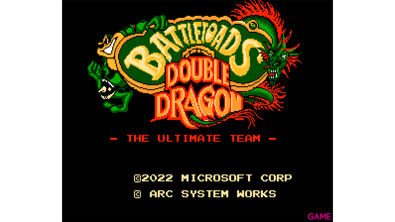 Battletoads & Double Dragon NES