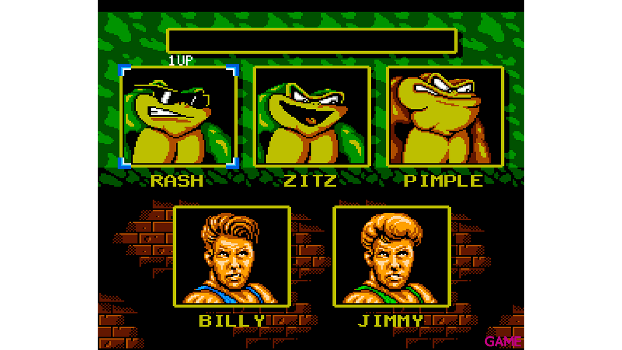 Battletoads & Double Dragon NES