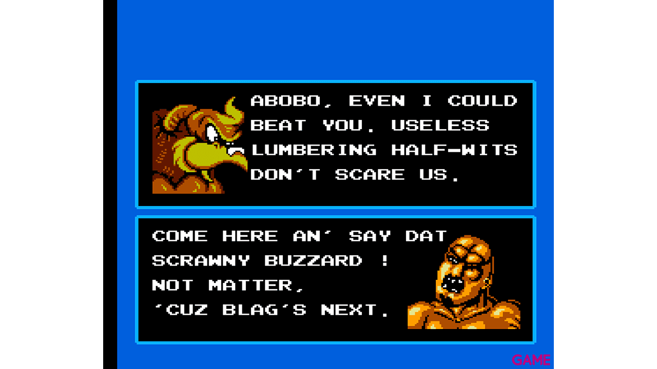 Battletoads & Double Dragon NES