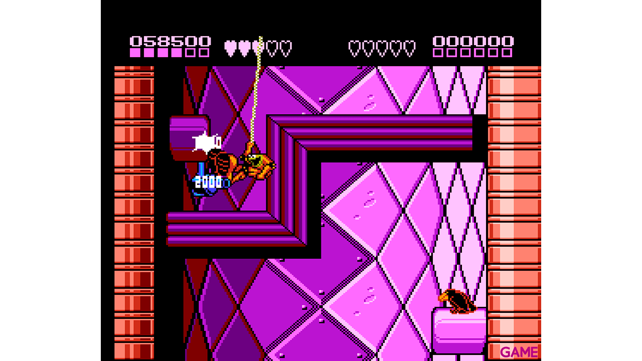 Battletoads & Double Dragon NES