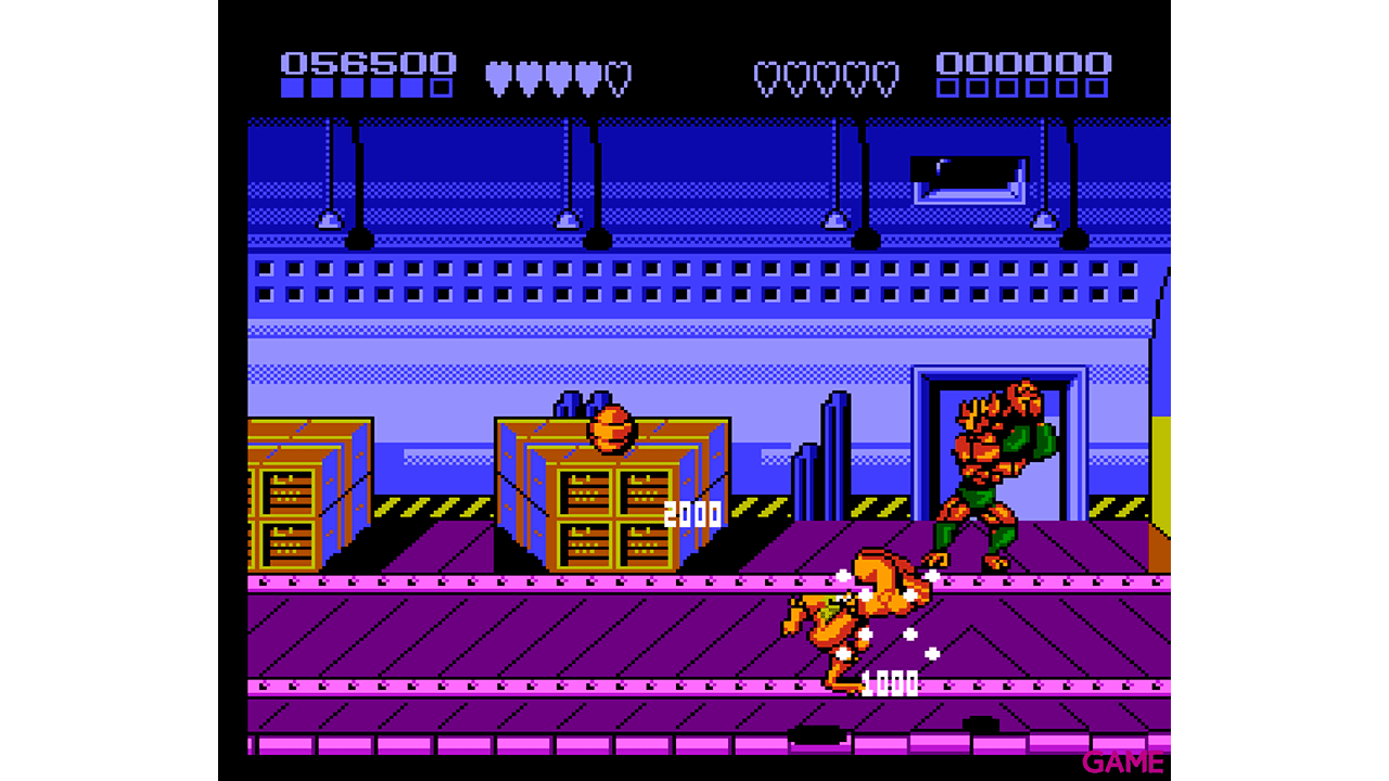 Battletoads & Double Dragon NES