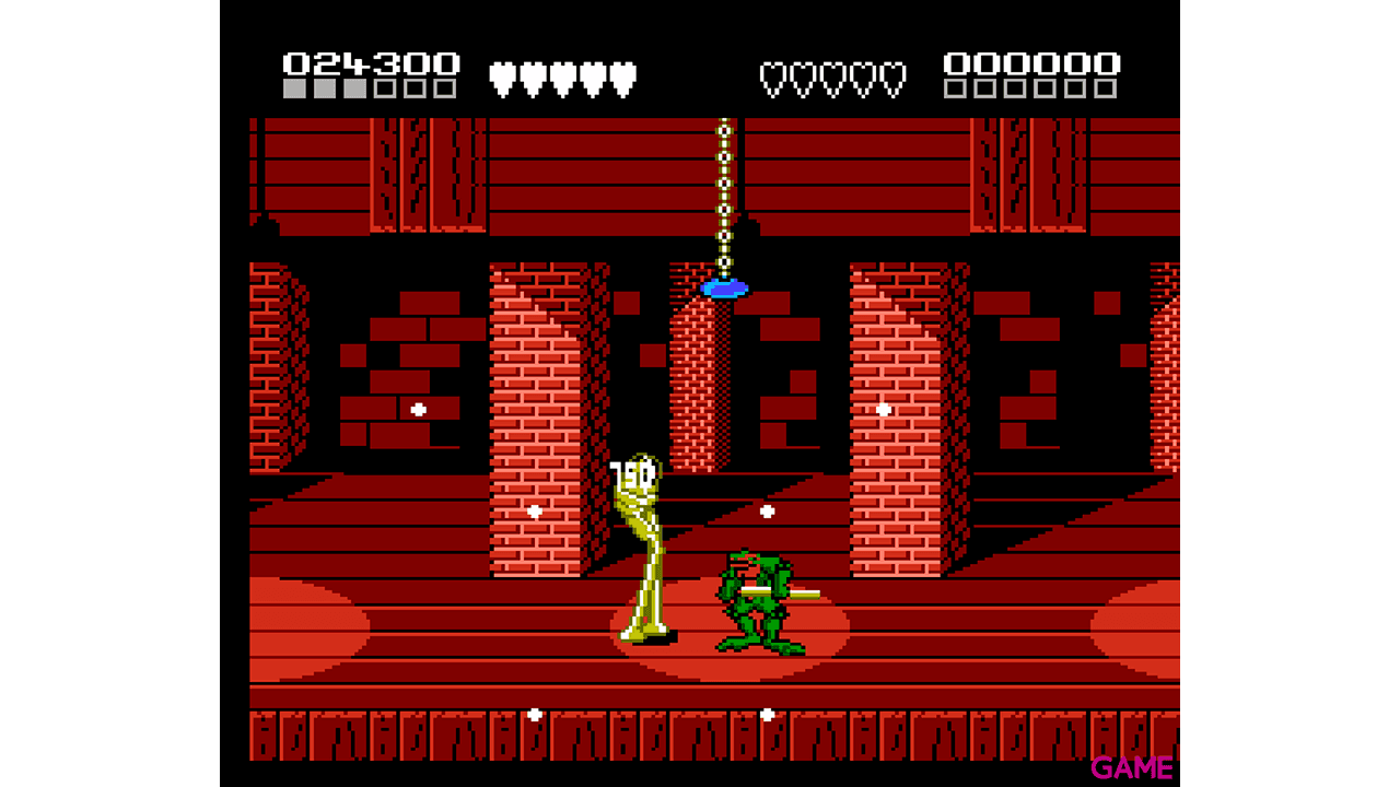 Battletoads & Double Dragon NES