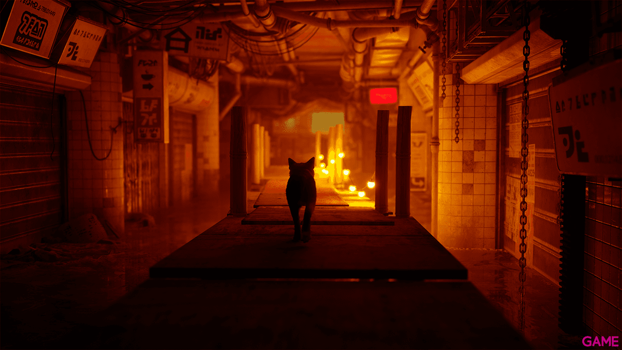 Stray
