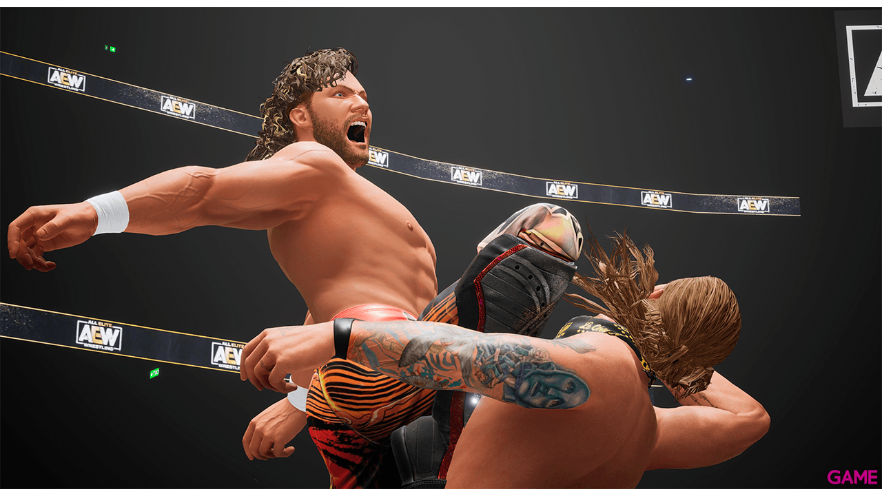 All Elite Wrestling Fight Forever