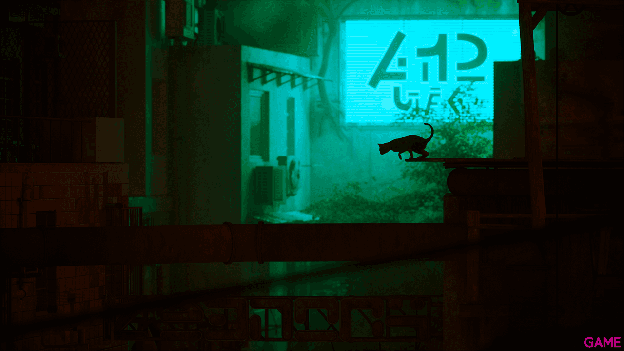 Stray