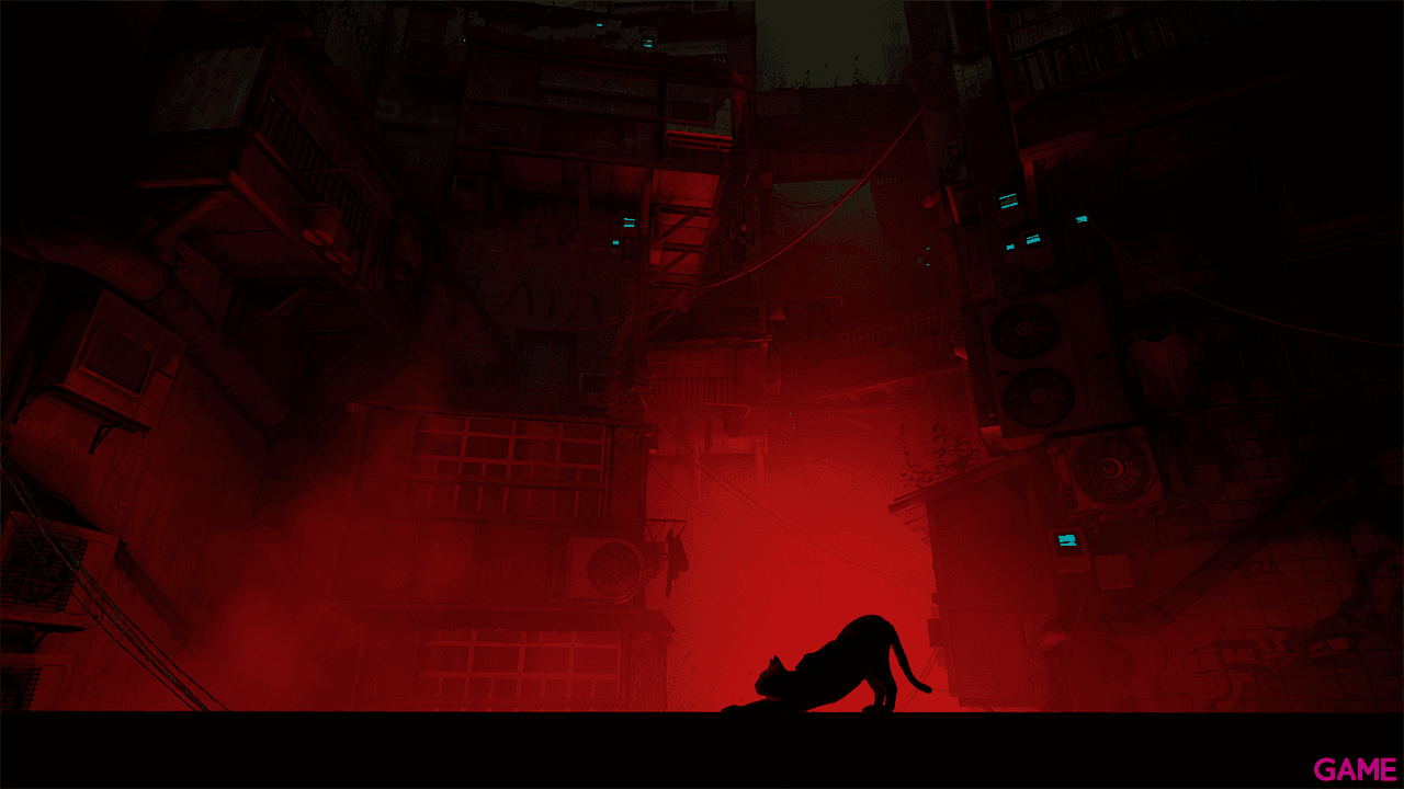 Stray
