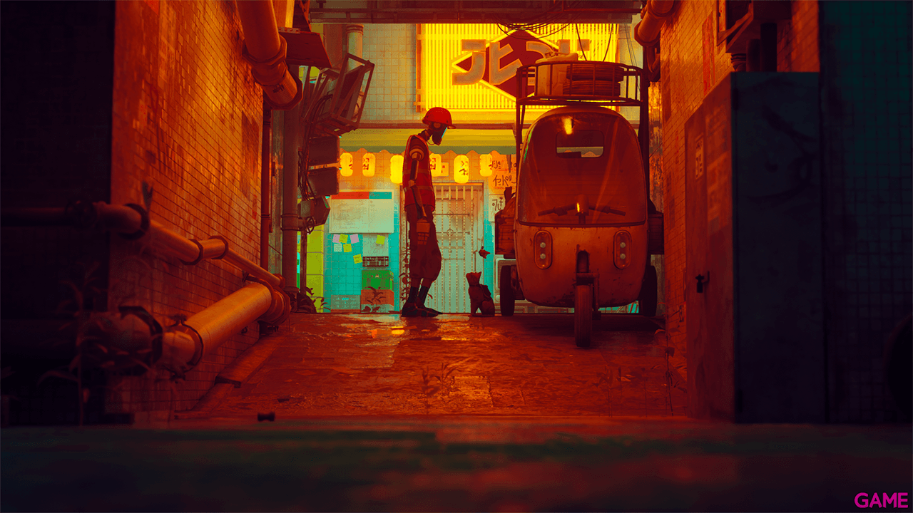 Stray