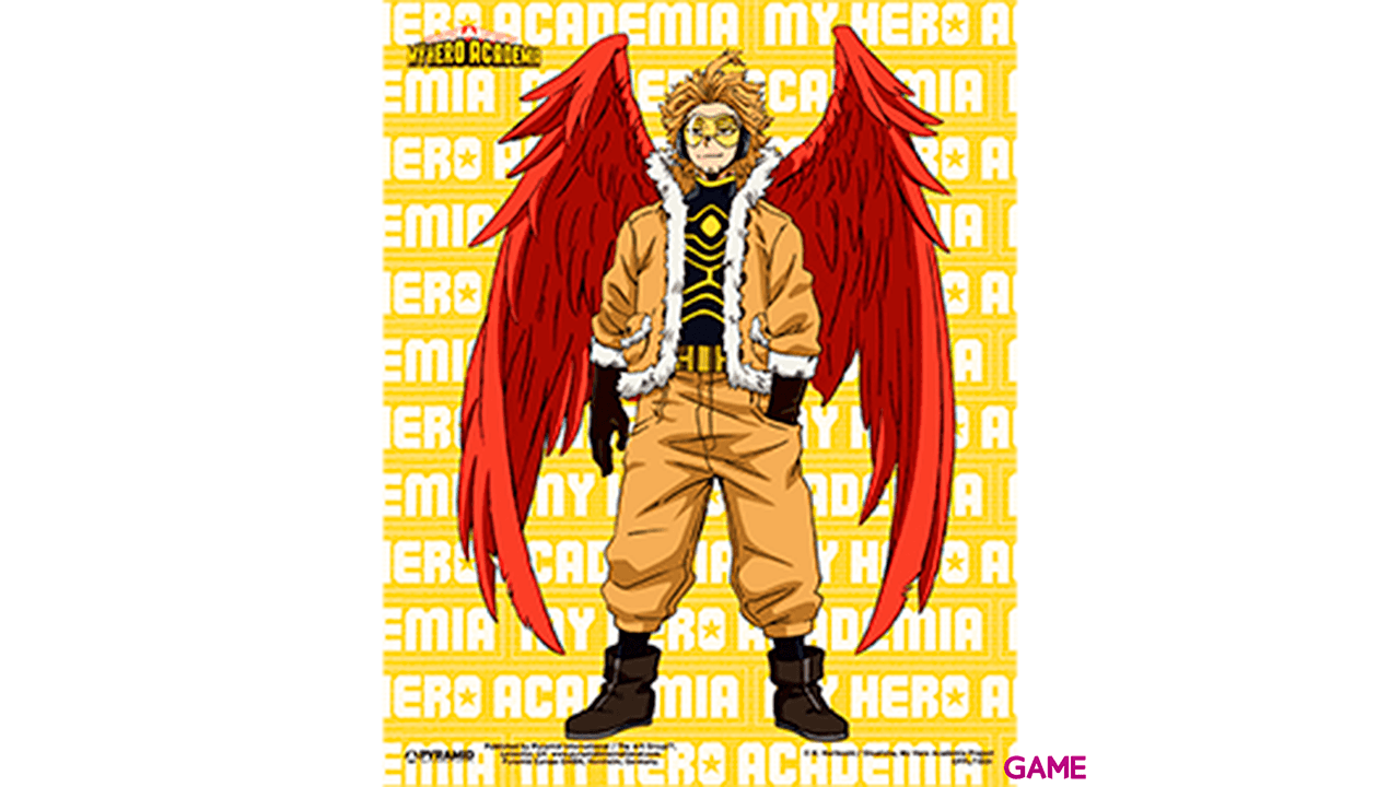 Cuadro 3D My Hero Academia: Hawks