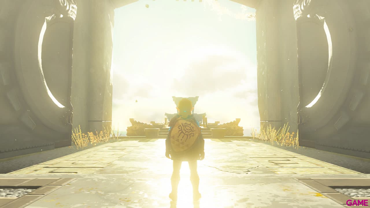 The Legend of Zelda: Tears of the Kingdom Nintendo Switch
