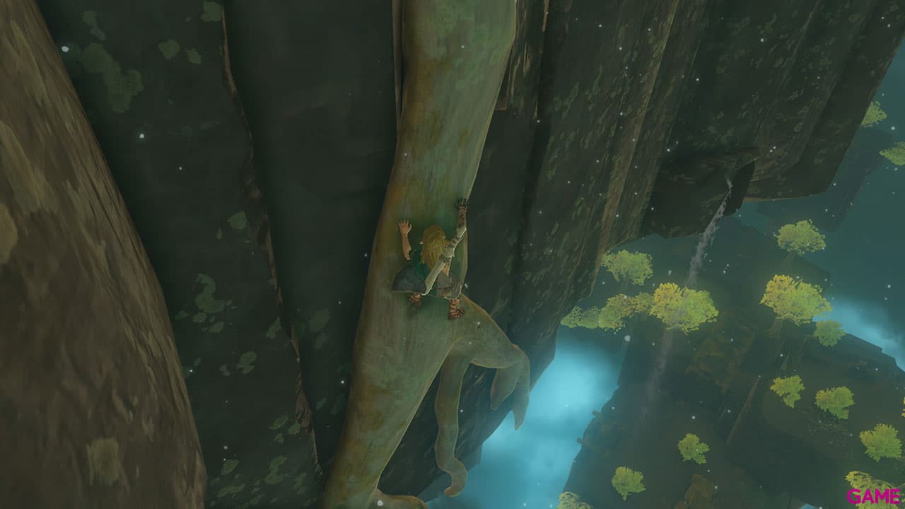 The Legend of Zelda: Tears of the Kingdom Nintendo Switch