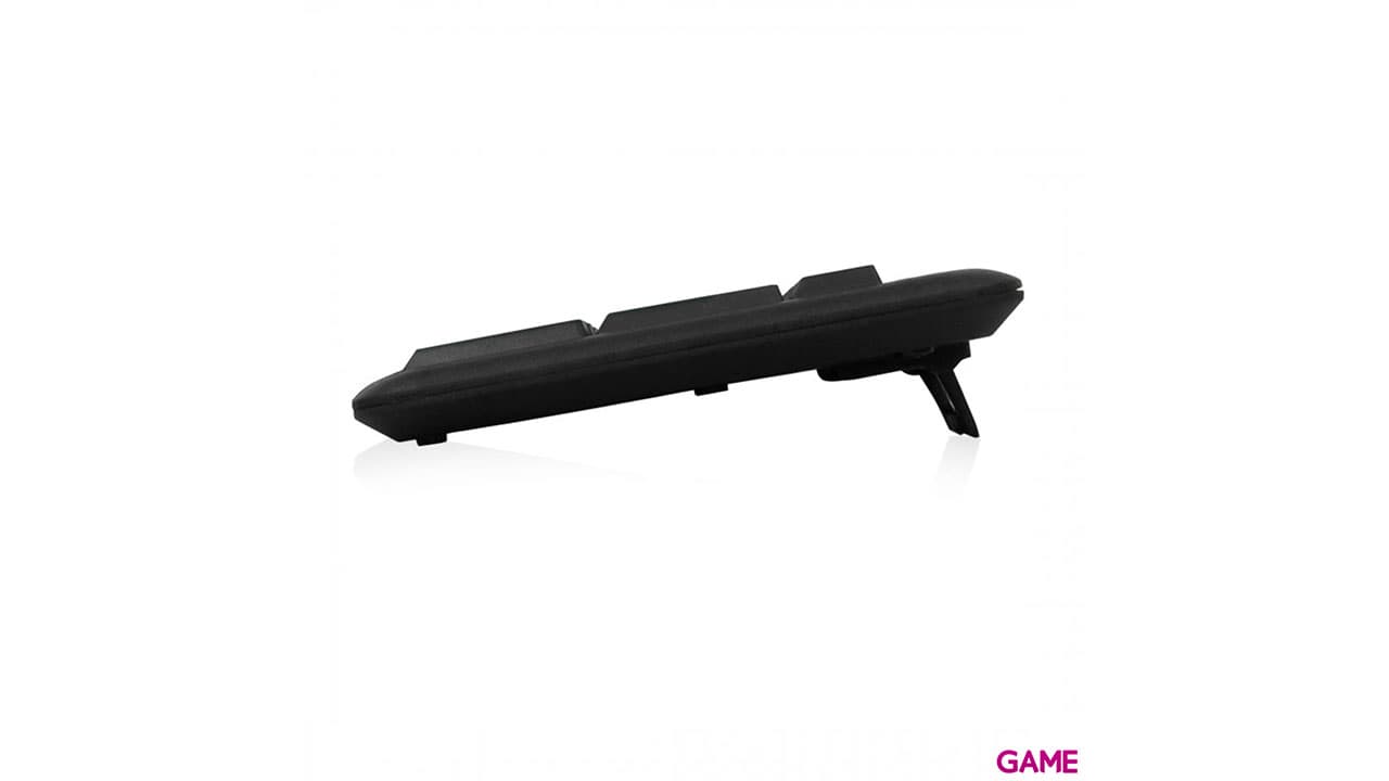 Ewent EW3109 USB + PS/2 Negro - Teclado