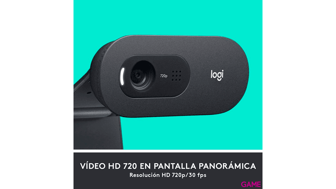 Logitech C505e USB Negro - Webcam