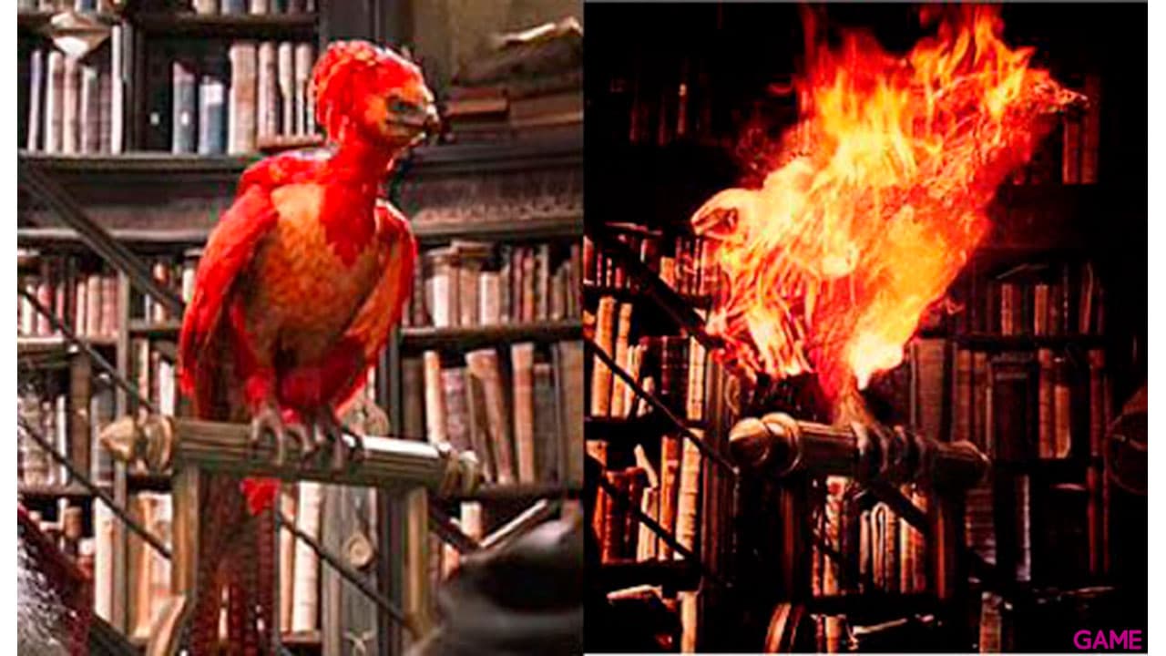 Colgante charm Orden del Fenix Harry Potter