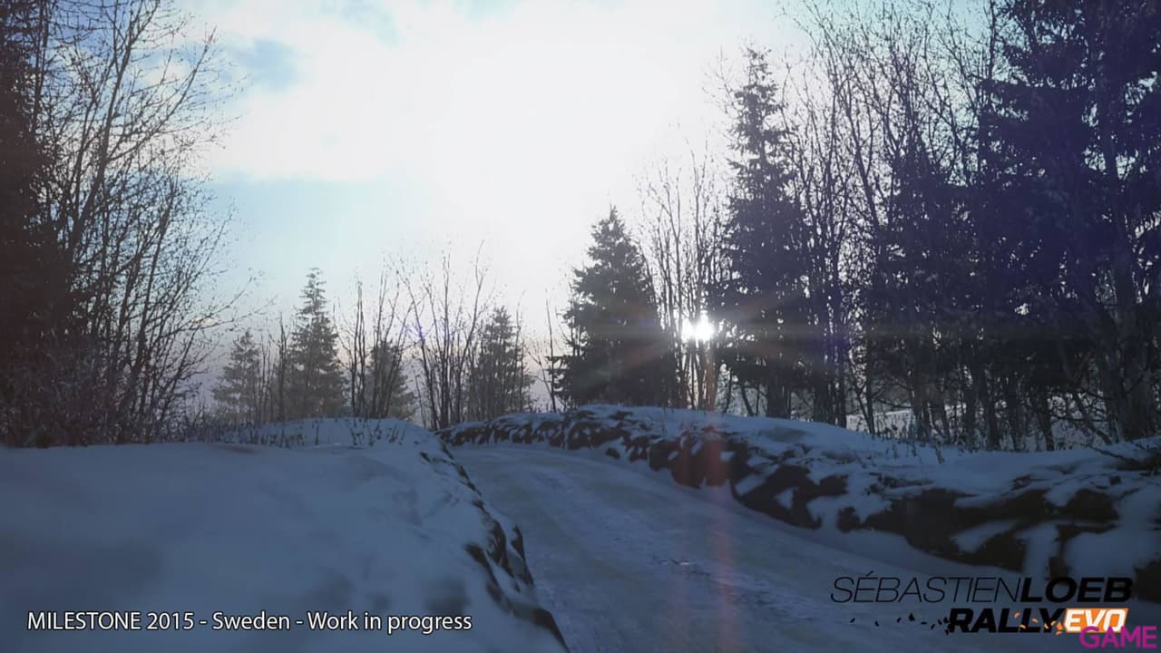 Sebastien Loeb Rally Evo