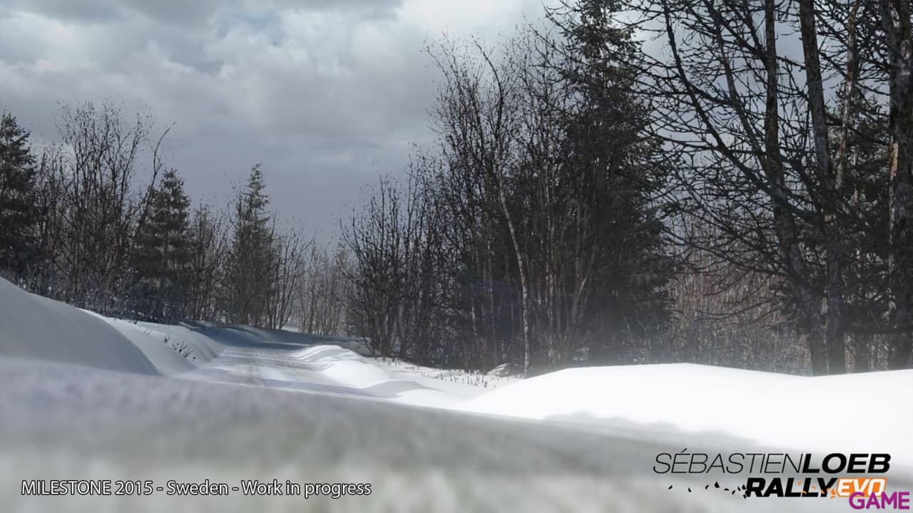 Sebastien Loeb Rally Evo