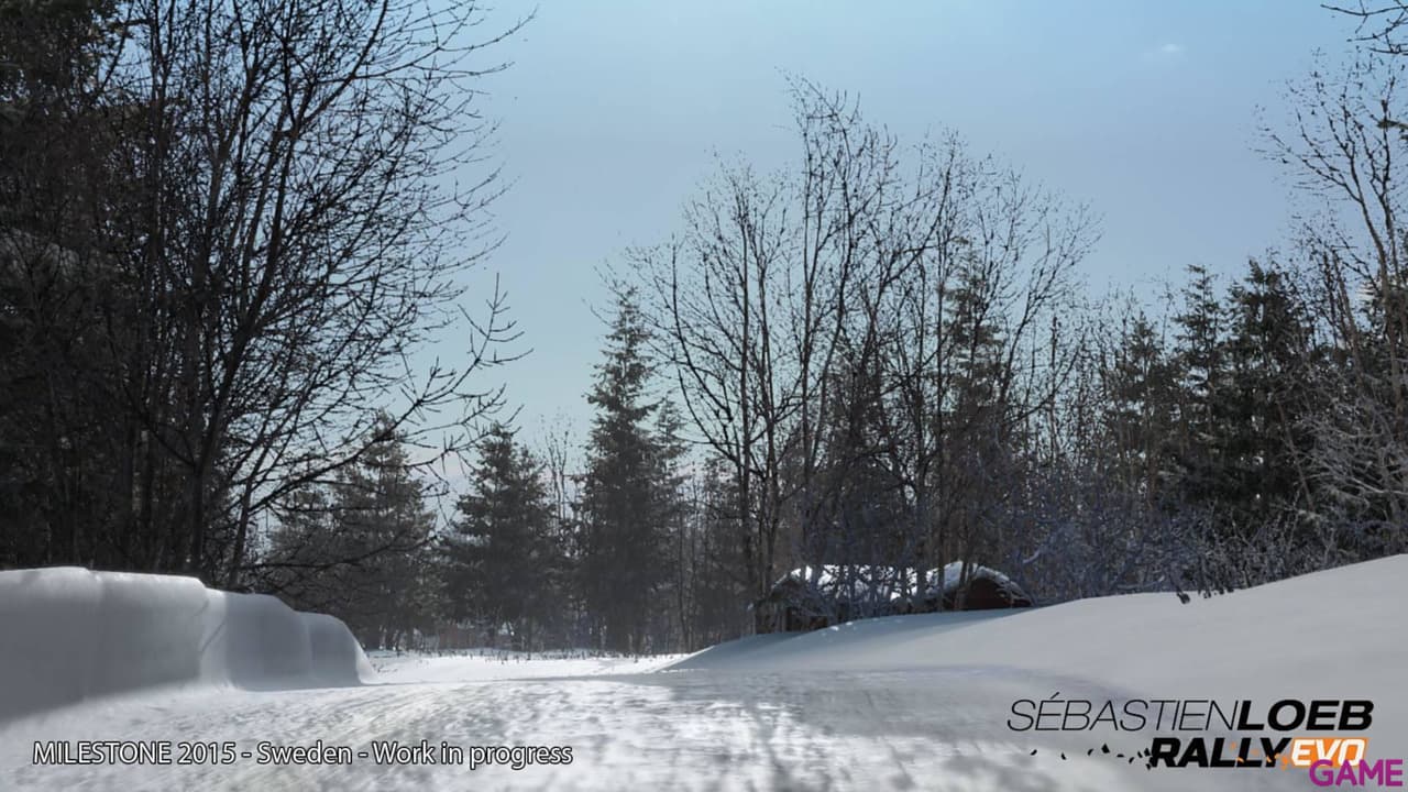 Sebastien Loeb Rally Evo