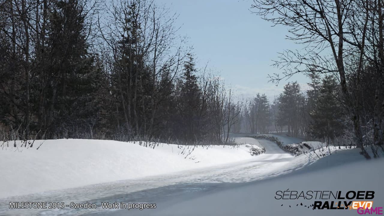 Sebastien Loeb Rally Evo