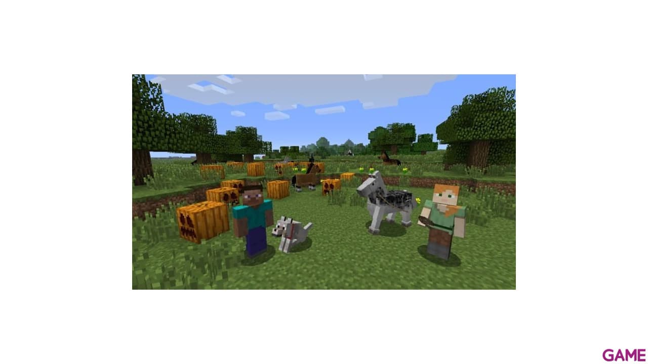 Minecraft Wii U Edition