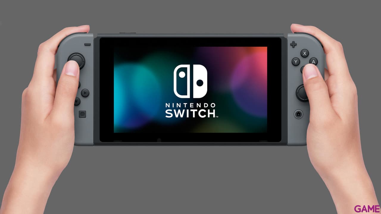 Nintendo Switch Gris