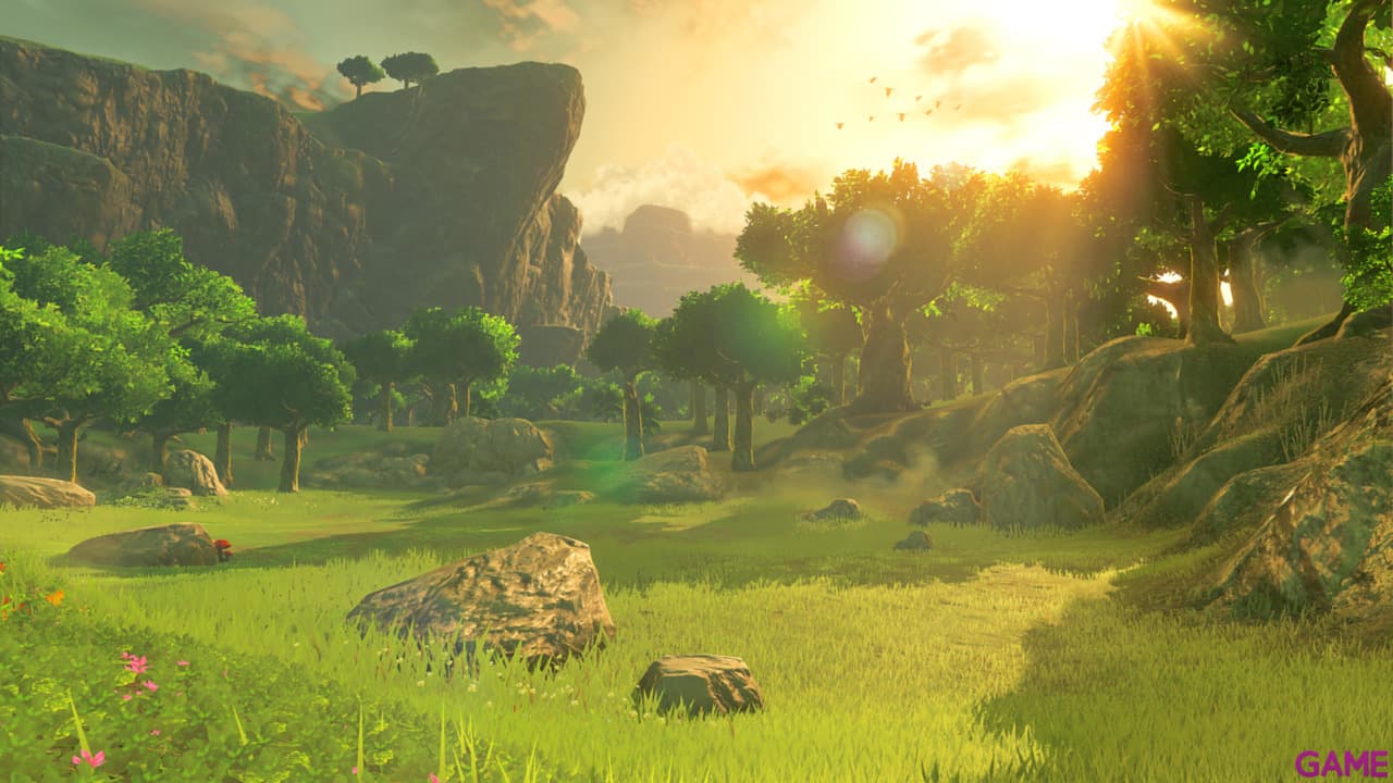 The Legend of Zelda: Breath of the Wild Nintendo Switch