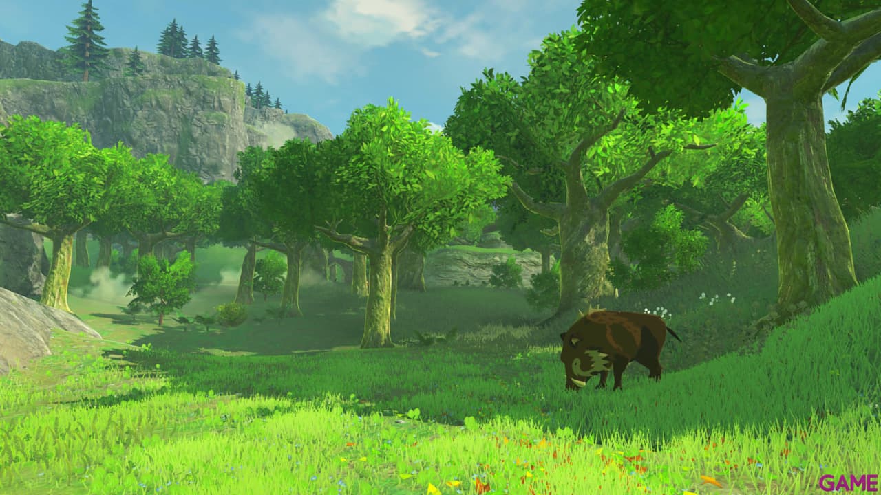 The Legend of Zelda: Breath of the Wild Nintendo Switch