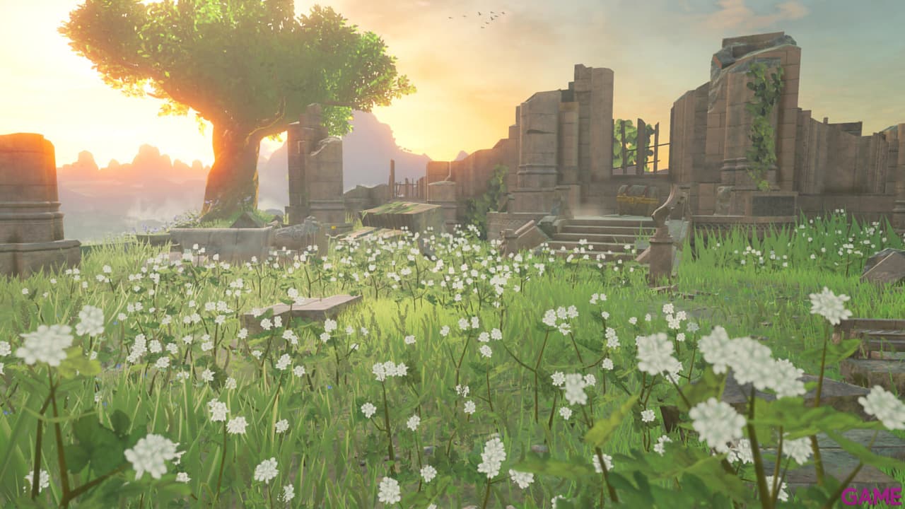 The Legend of Zelda: Breath of the Wild Nintendo Switch