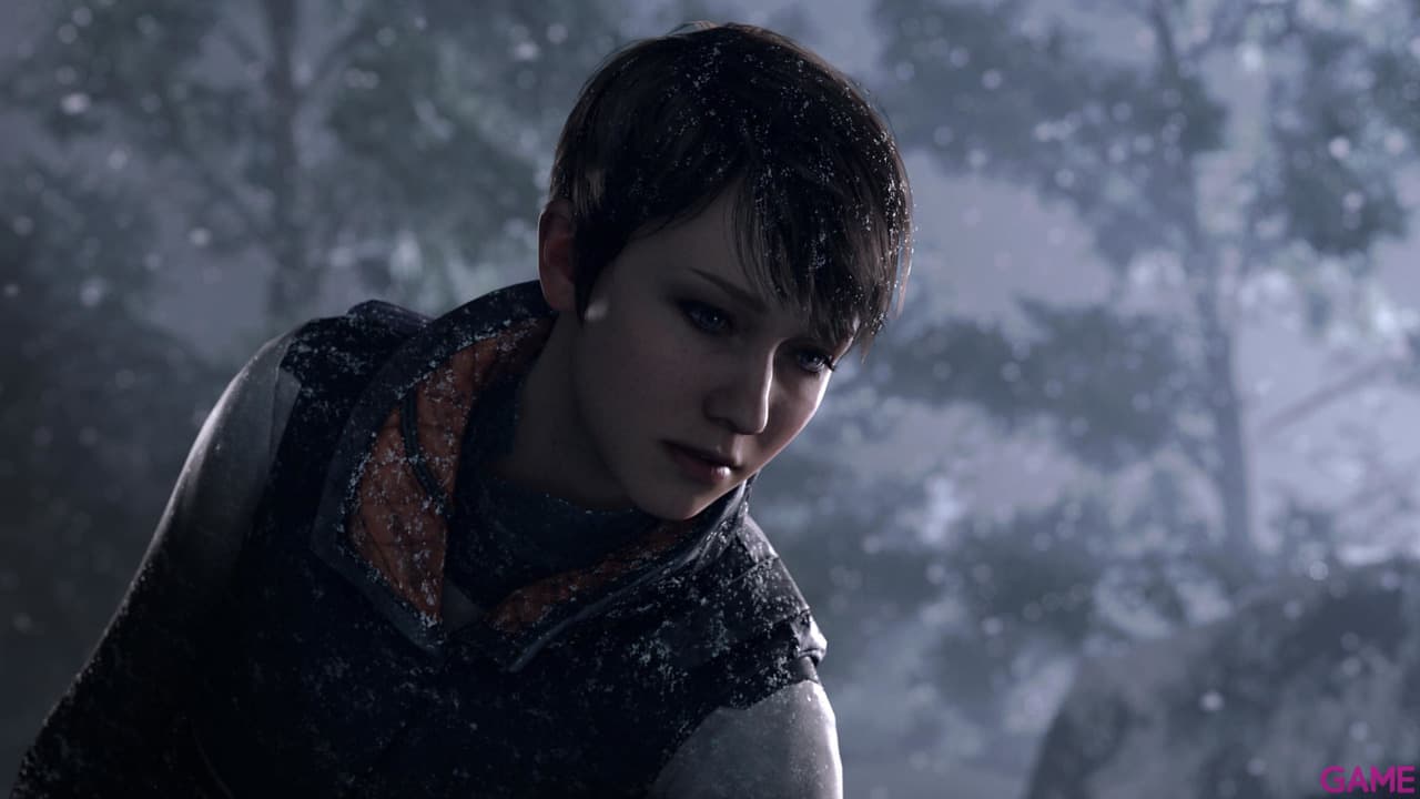 Detroit Become Human