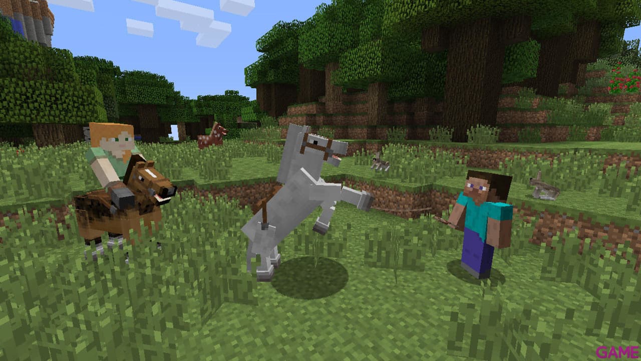 Minecraft - Nintendo Switch Edition Nintendo Switch