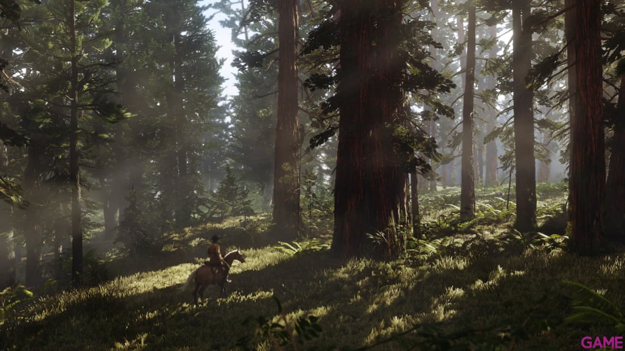 Red Dead Redemption II