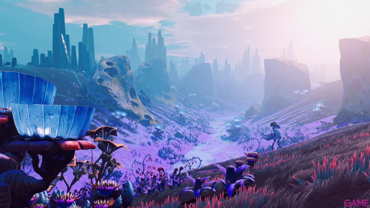 Starlink Starter Pack