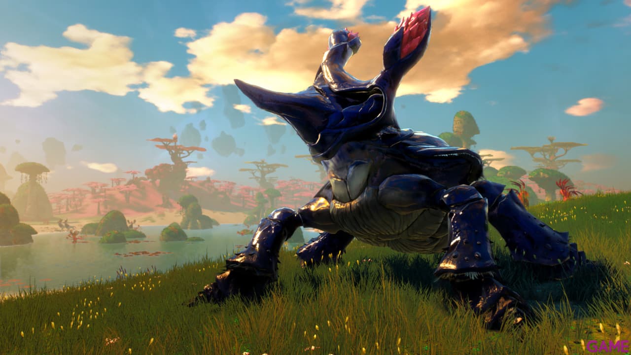Starlink Starter Pack