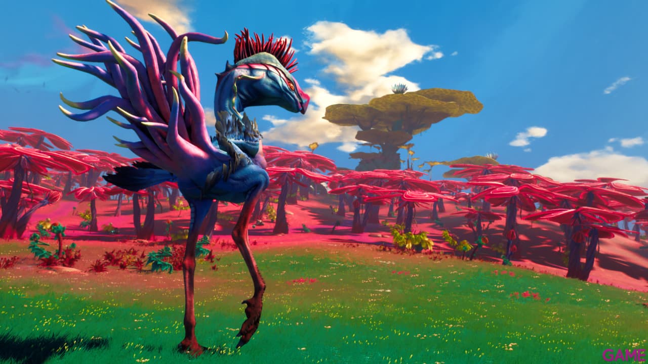 Starlink Starter Pack