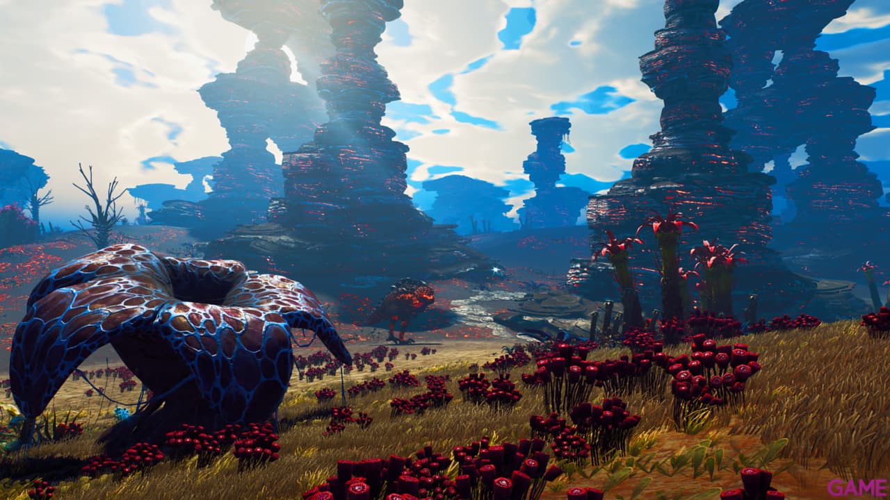 Starlink Starter Pack