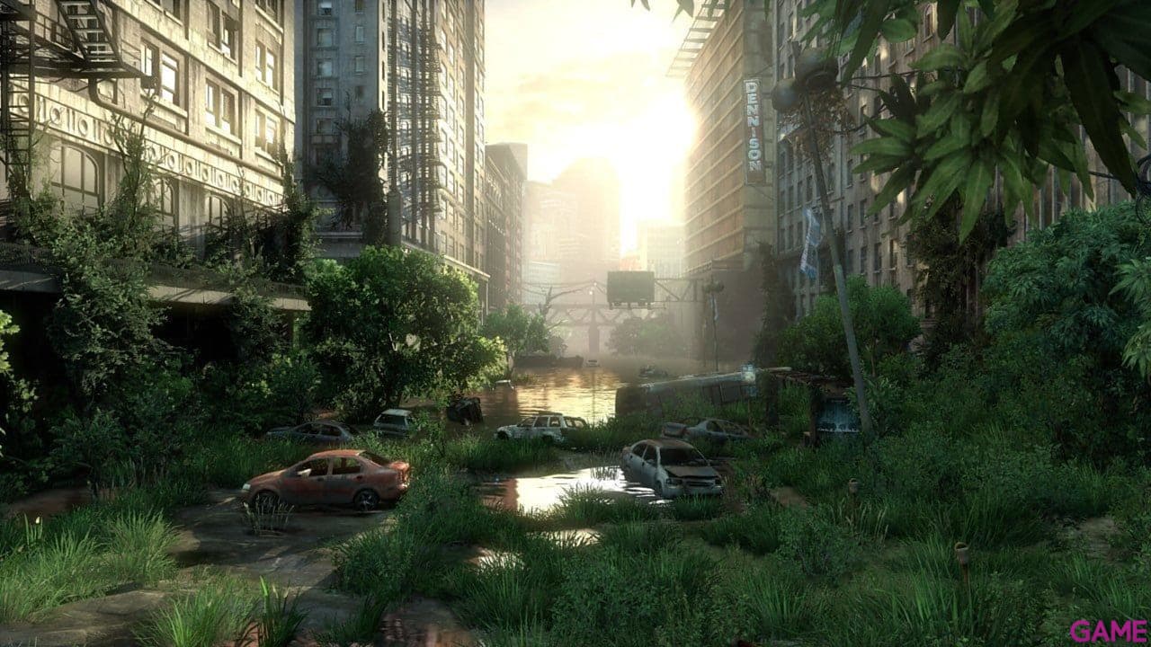 The Last Of Us Playstation Hits PS4