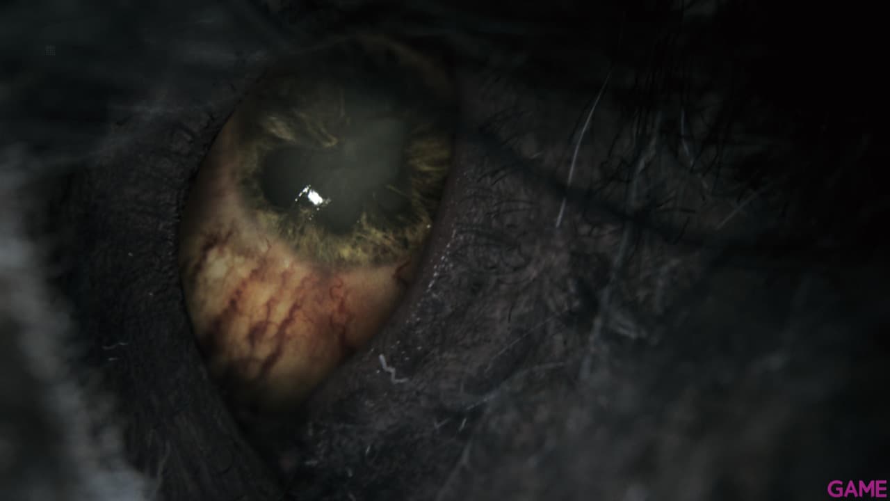Bloodborne PS Hits PS4