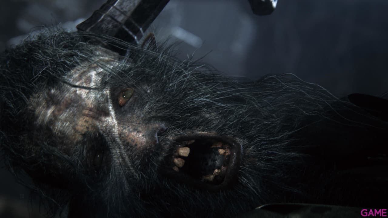 Bloodborne PS Hits PS4
