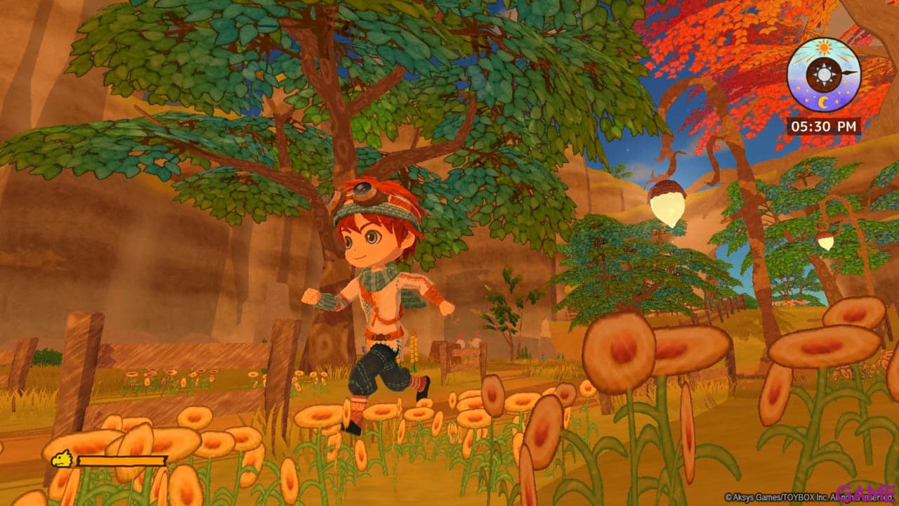 Little Dragons Café
