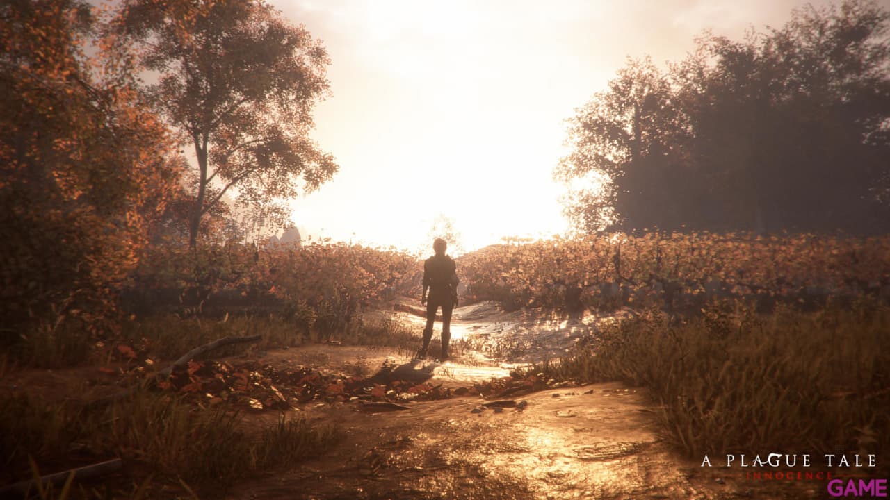 A Plague Tale - Innocence
