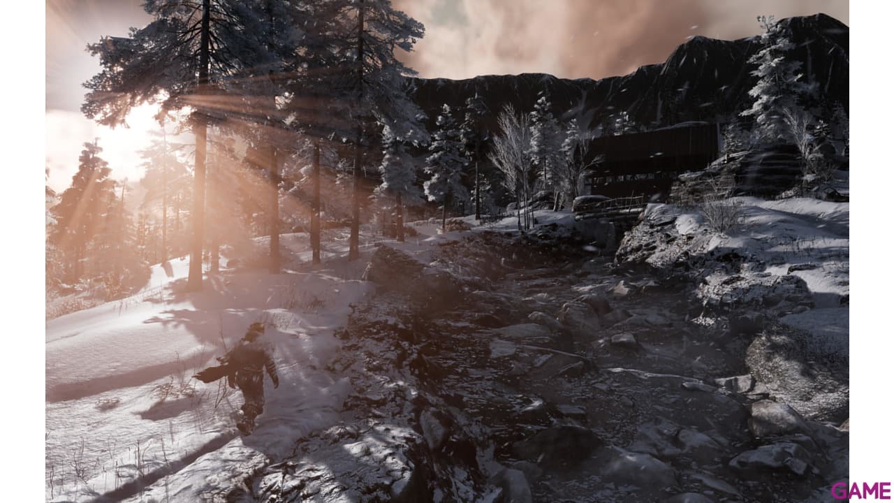 Fade to Silence PC