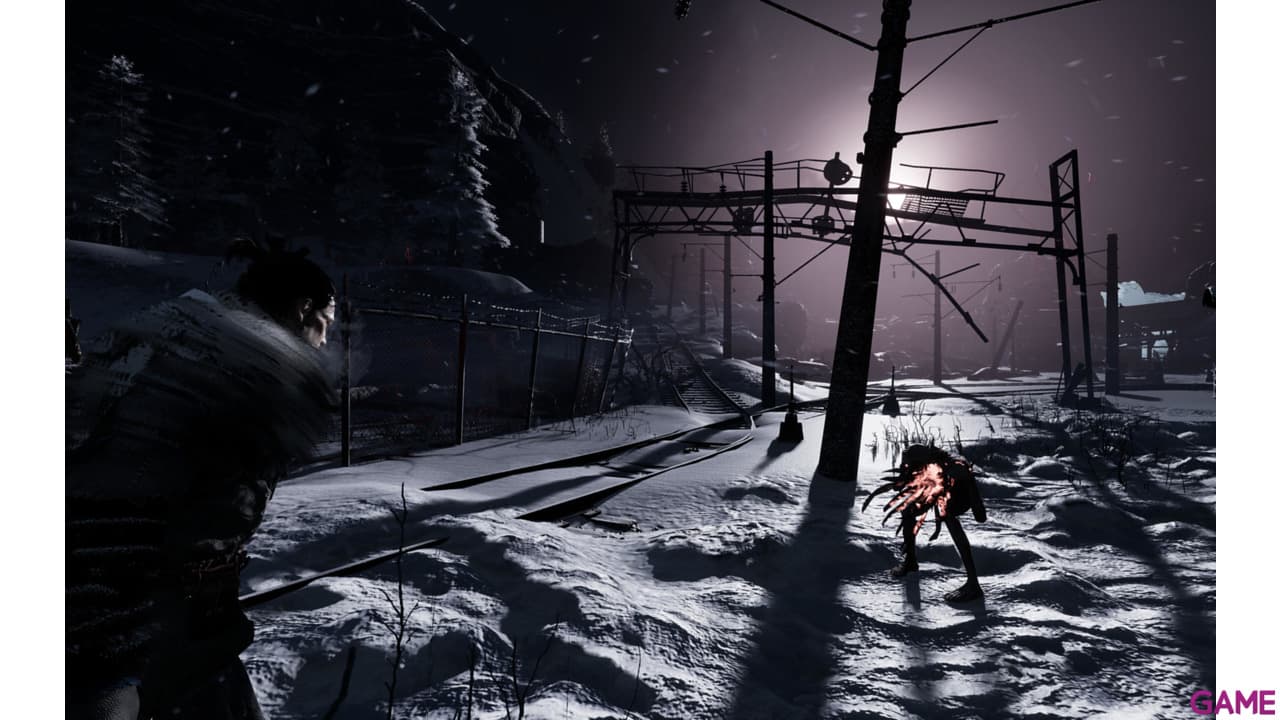 Fade to Silence PC