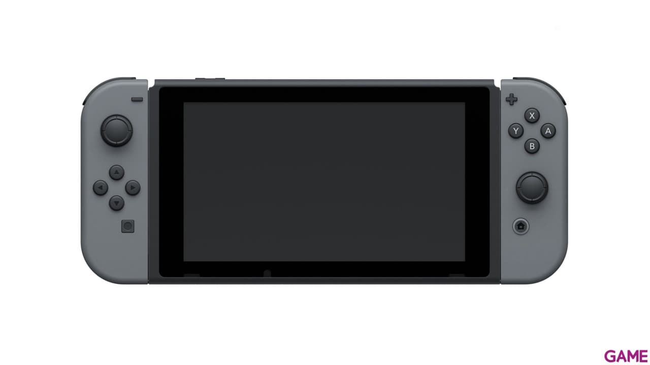 Nintendo Switch Gris