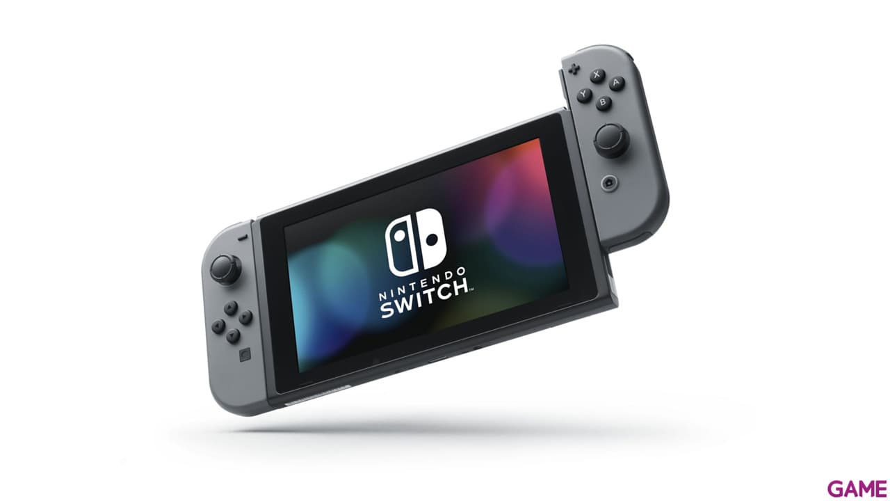 Nintendo Switch Gris