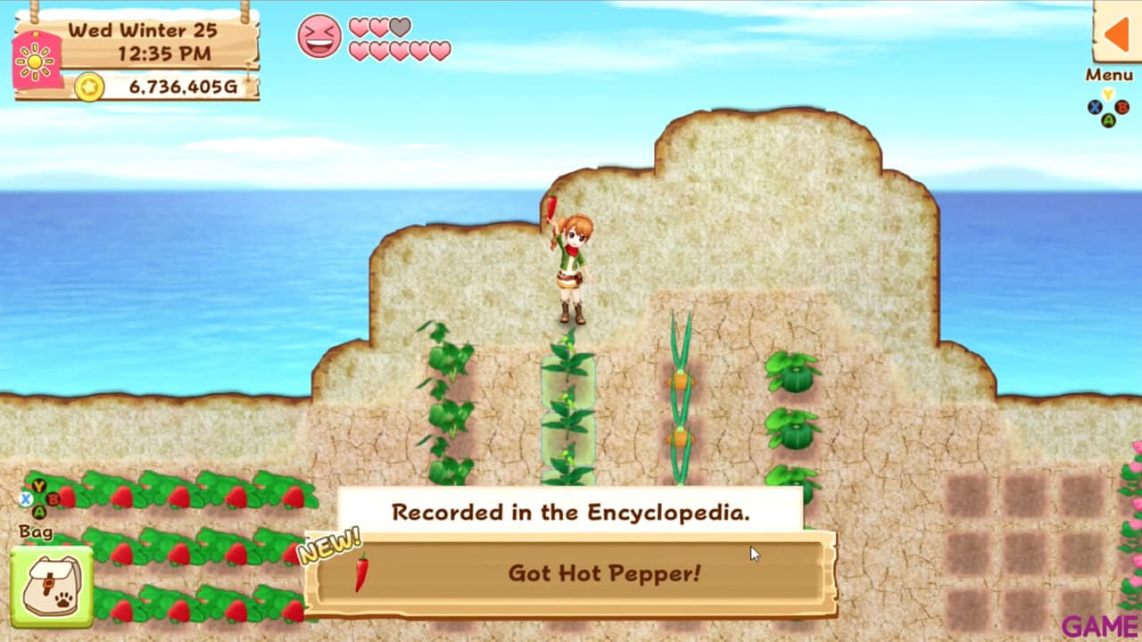 Harvest Moon Light of Hope Complete Edition PS4
