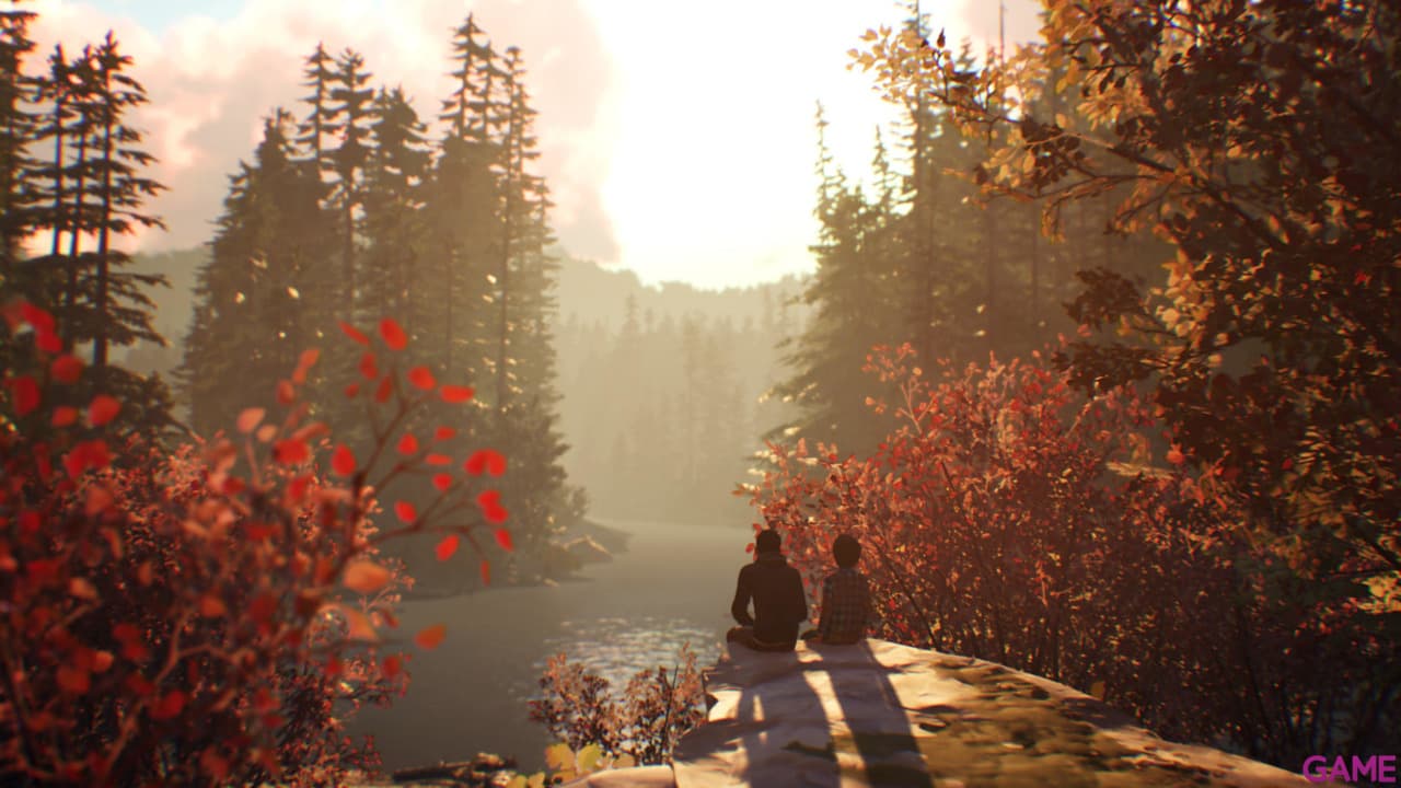 Life is Strange 2 PC
