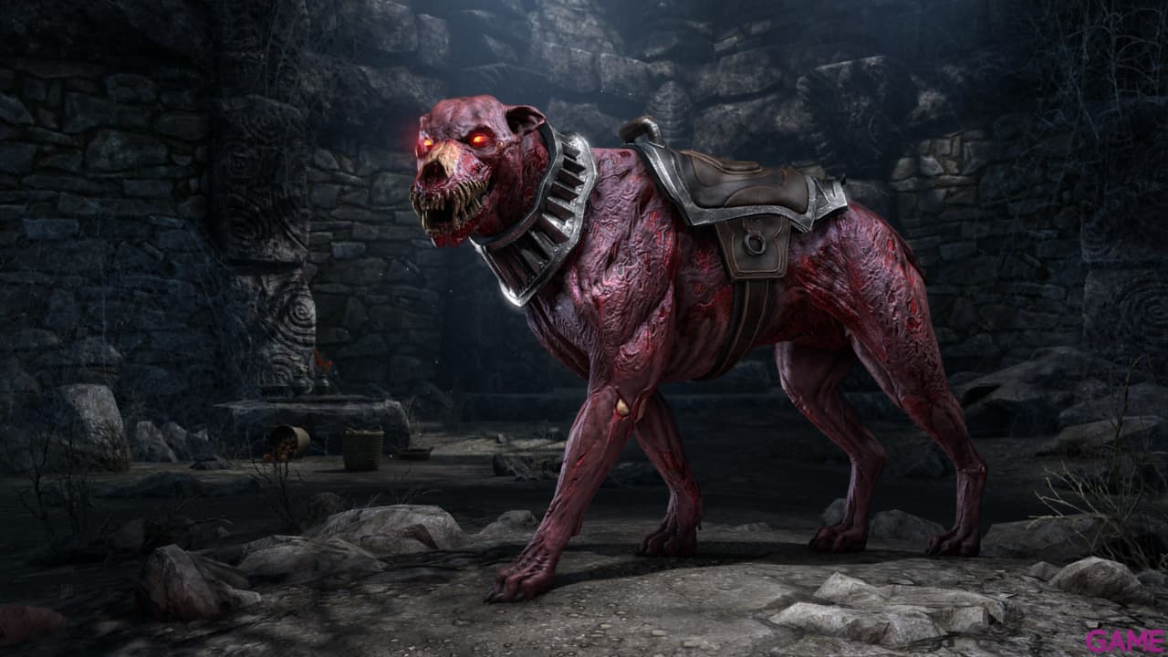 The Elder Scrolls Online Greymoor Collector’s Upgrade