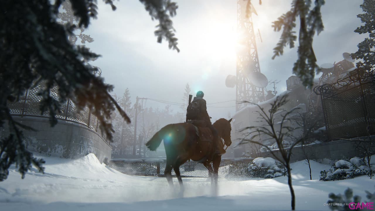 The Last of Us Parte II PS4
