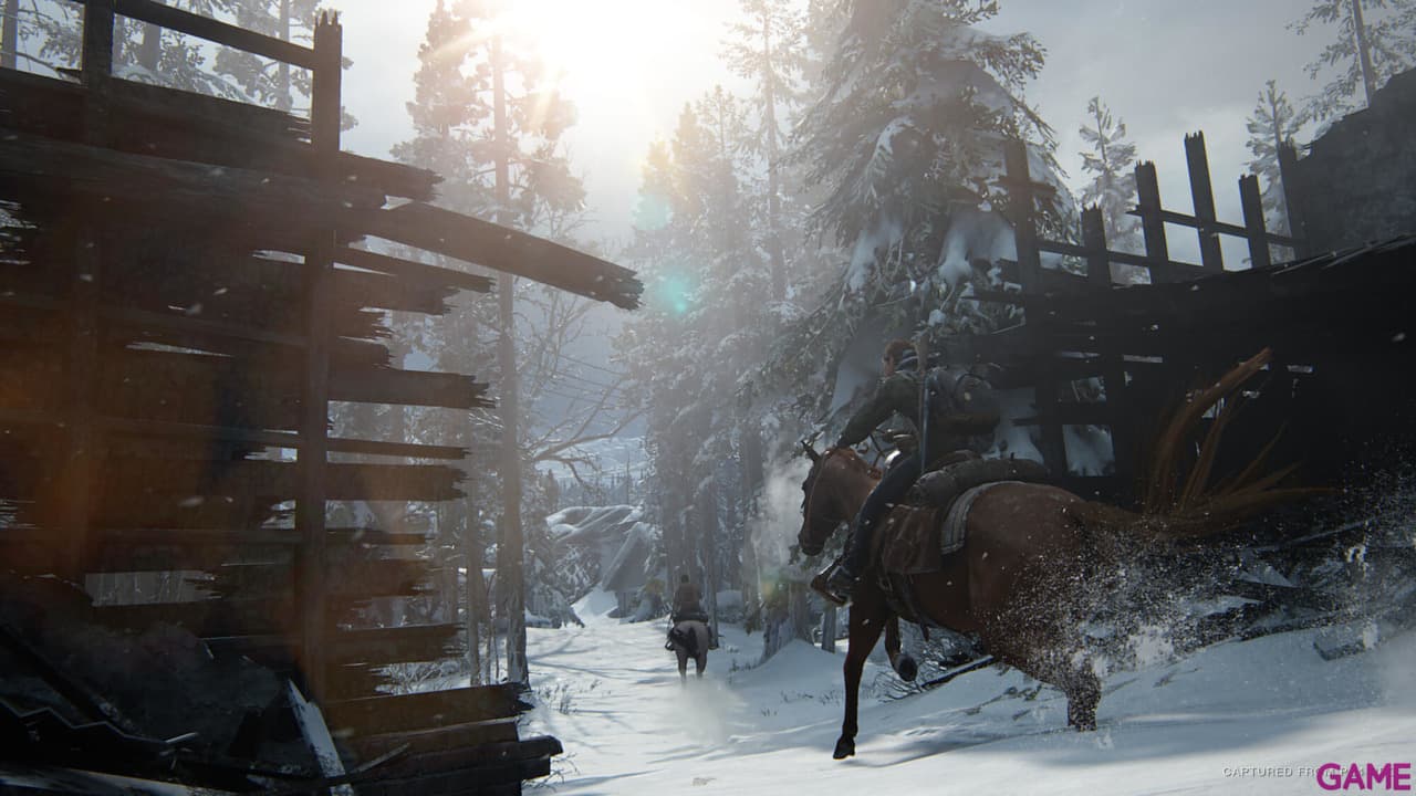 The Last of Us Parte II PS4
