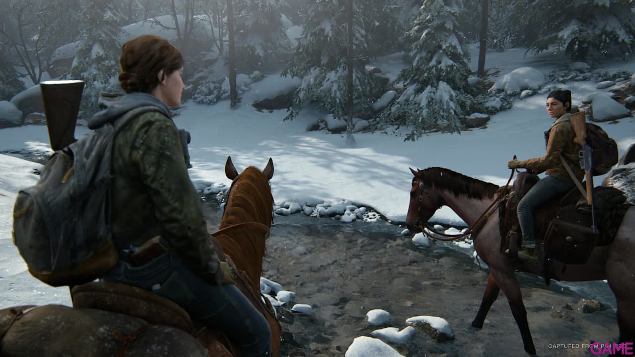 The Last of Us Parte II PS4
