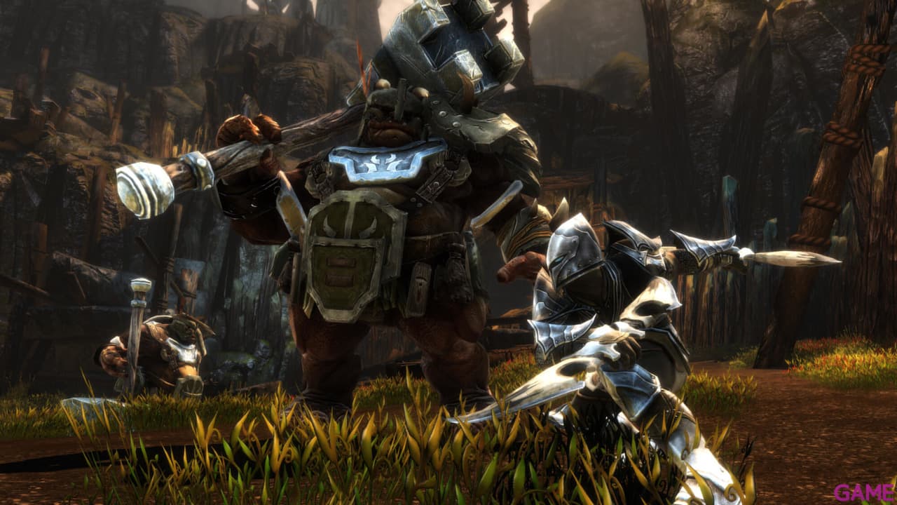 Kingdoms of Amalur Re-Reckoning