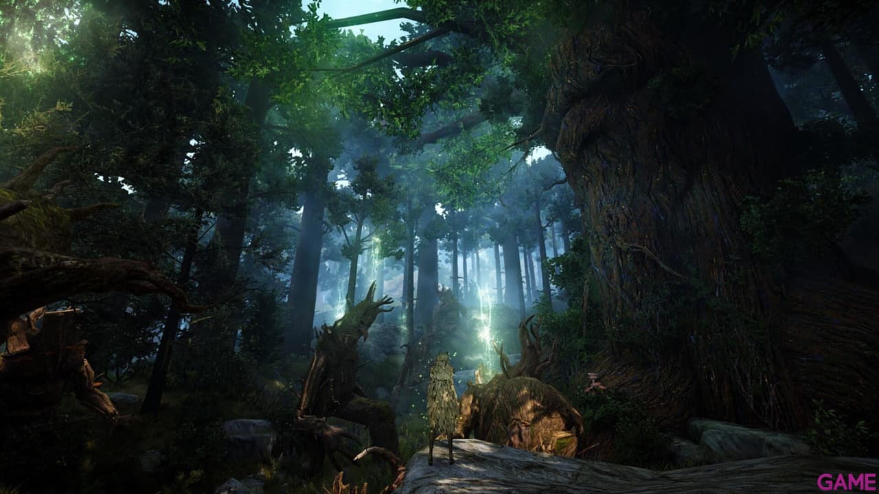 Black Desert Prestige Edition